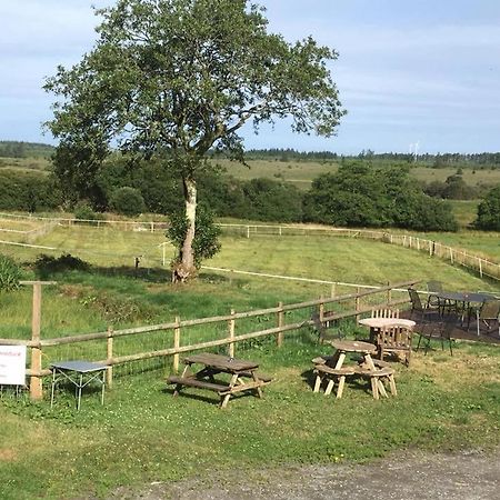 Rhydgaled Villa Llanon Bagian luar foto