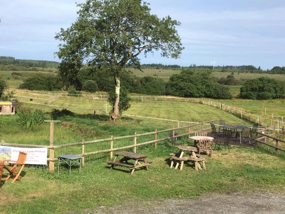 Rhydgaled Villa Llanon Bagian luar foto
